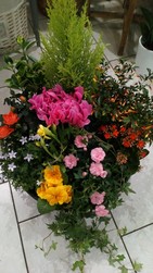 au jardin hadelin corbigny fleur 2